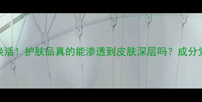 图片 28天见证肌底焕活！护肤品真的能渗透到皮肤深层吗？成分党必看避坑指南