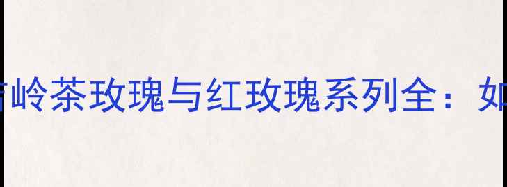 图片 BVLGARI玫瑰香水深度测评大吉岭茶玫瑰与红玫瑰系列全：如何选对香调与场合的奢华之选