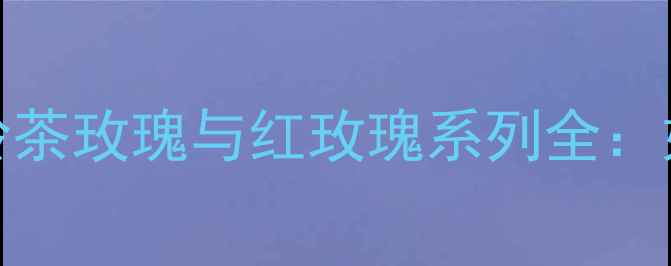 图片 BVLGARI玫瑰香水深度测评大吉岭茶玫瑰与红玫瑰系列全：如何选对香调与场合的奢华之选1