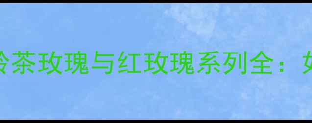 图片 BVLGARI玫瑰香水深度测评大吉岭茶玫瑰与红玫瑰系列全：如何选对香调与场合的奢华之选2