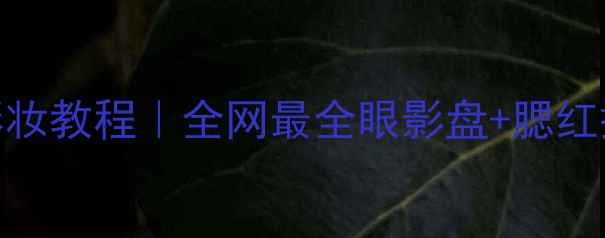 图片 Baroque品牌彩妆教程｜全网最全眼影盘+腮红搭配指南💄✨1