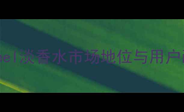 图片 Chanel淡香水市场地位与用户画像