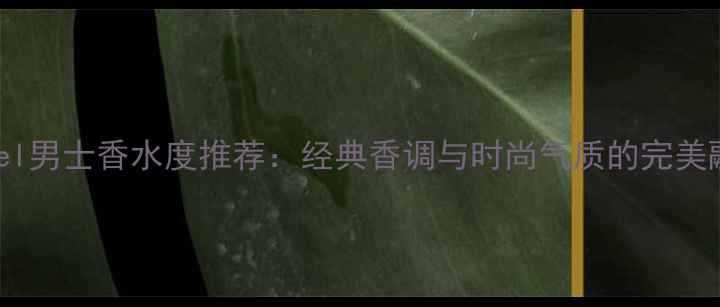 图片 Chanel男士香水度推荐：经典香调与时尚气质的完美融合1