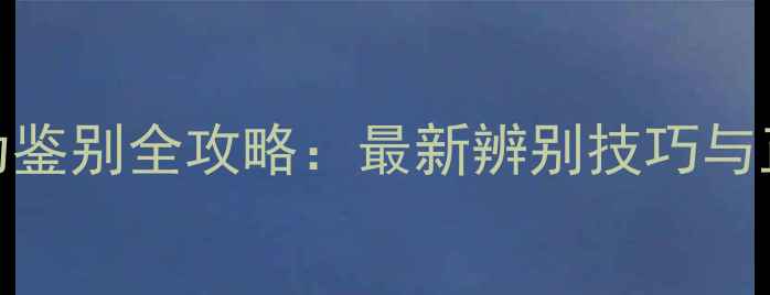 图片 Chloe真伪鉴别全攻略：最新辨别技巧与正品特征1