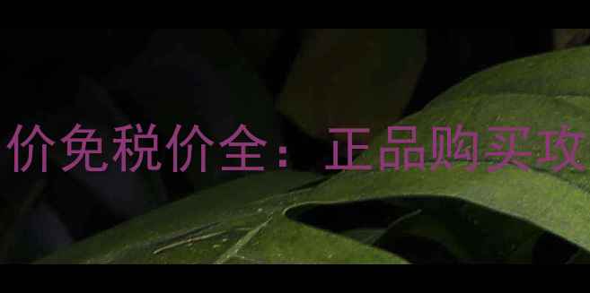 图片 Curel泡沫洁面日本原价免税价全：正品购买攻略与性价比对比指南2