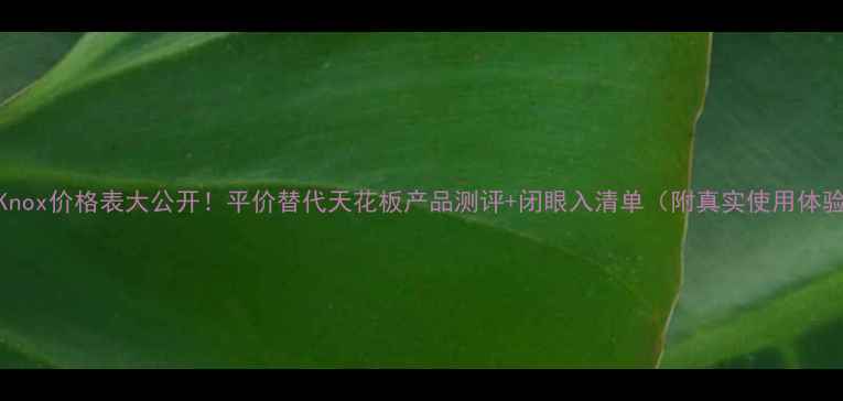 图片 ISAKnox价格表大公开！平价替代天花板产品测评+闭眼入清单（附真实使用体验）1