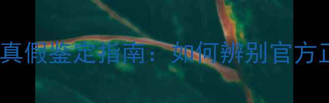 图片 Line面膜最新真假鉴定指南：如何辨别官方正品并避坑？1
