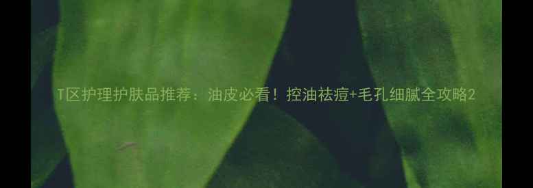 图片 T区护理护肤品推荐：油皮必看！控油祛痘+毛孔细腻全攻略2