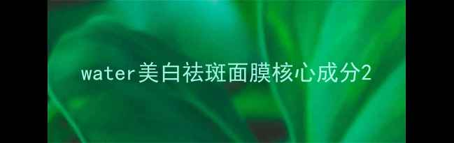 图片 water美白祛斑面膜核心成分2