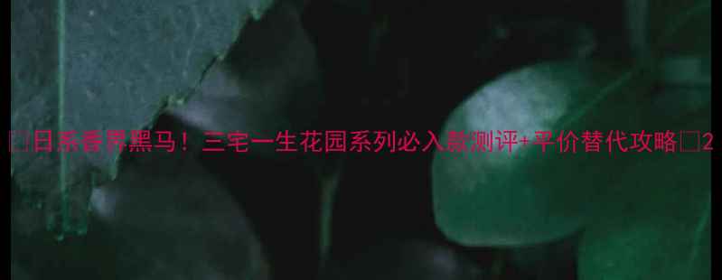 图片 ✨日系香界黑马！三宅一生花园系列必入款测评+平价替代攻略🌸2