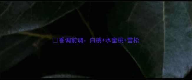 图片 ✨香调前调：白桃+水蜜桃+雪松