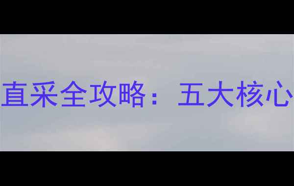 图片 上海进口护肤品源头直采全攻略：五大核心市场+选品避坑指南2