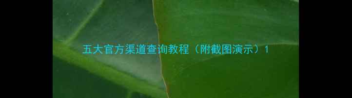 图片 五大官方渠道查询教程（附截图演示）1