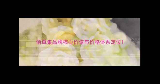 图片 佰草集品牌核心价值与价格体系定位1