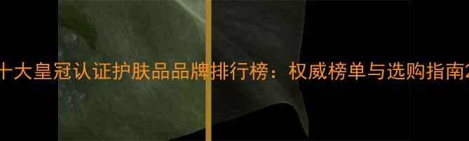 图片 十大皇冠认证护肤品品牌排行榜：权威榜单与选购指南2