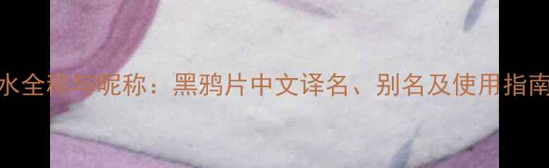 图片 圣罗兰黑鸦片香水全称与昵称：黑鸦片中文译名、别名及使用指南（附品牌故事）