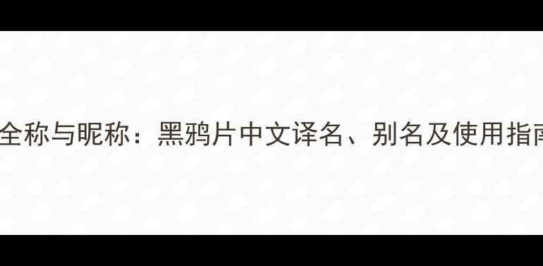 图片 圣罗兰黑鸦片香水全称与昵称：黑鸦片中文译名、别名及使用指南（附品牌故事）1