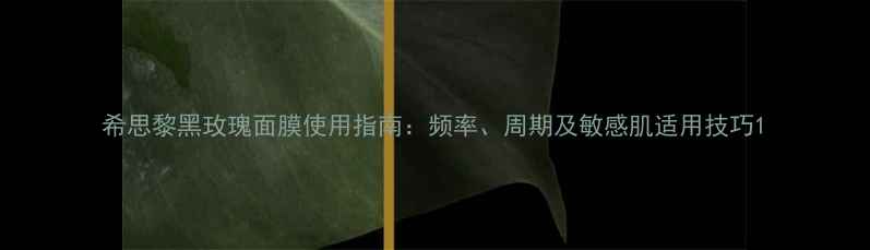 图片 希思黎黑玫瑰面膜使用指南：频率、周期及敏感肌适用技巧1