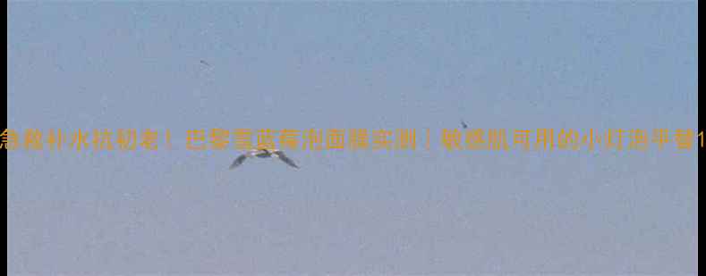 图片 急救补水抗初老！巴黎雪蓝莓泡面膜实测｜敏感肌可用的小灯泡平替1