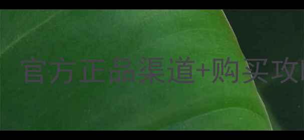 图片 日本雪肌精最新价格曝光！官方正品渠道+购买攻略+性价比对比，省钱必看