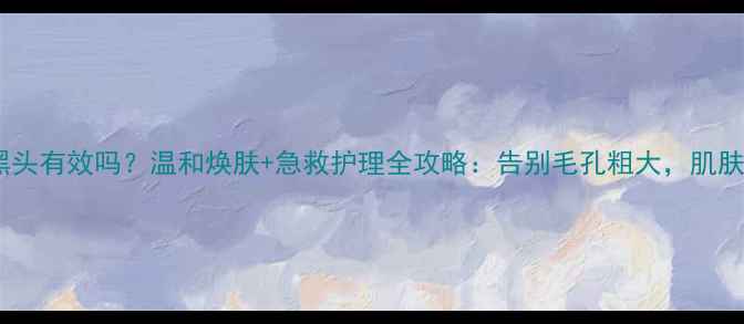 图片 水杨酸去黑头有效吗？温和焕肤+急救护理全攻略：告别毛孔粗大，肌肤透亮光滑2