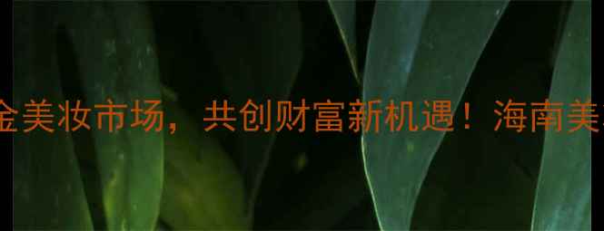 图片 海口化妆品牌代理商招募：掘金美妆市场，共创财富新机遇！海南美妆行业创业指南与代理政策全1