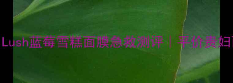 图片 混油敏皮亲妈！Lush蓝莓雪糕面膜急救测评｜平价贵妇面膜到底多惊艳