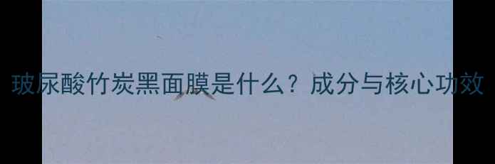 图片 玻尿酸竹炭黑面膜是什么？成分与核心功效