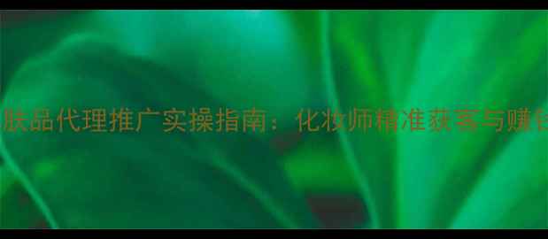 图片 眼部护肤品代理推广实操指南：化妆师精准获客与赚钱秘籍2