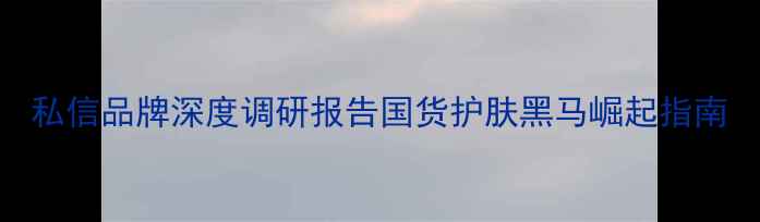 图片 私信品牌深度调研报告国货护肤黑马崛起指南