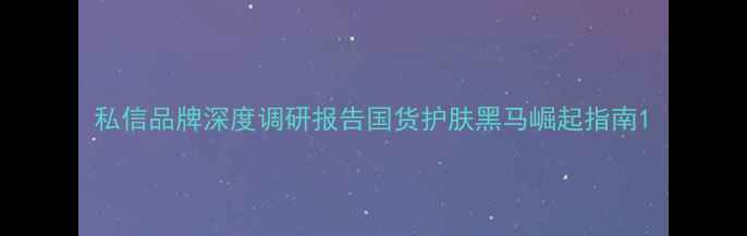 图片 私信品牌深度调研报告国货护肤黑马崛起指南1
