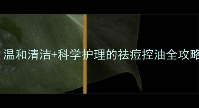 图片 粉刺肌急救指南：温和清洁+科学护理的祛痘控油全攻略（附产品测评）2