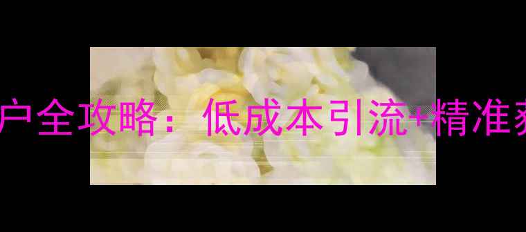 图片 网销化妆产品找客户全攻略：低成本引流+精准获客的5大实战方法