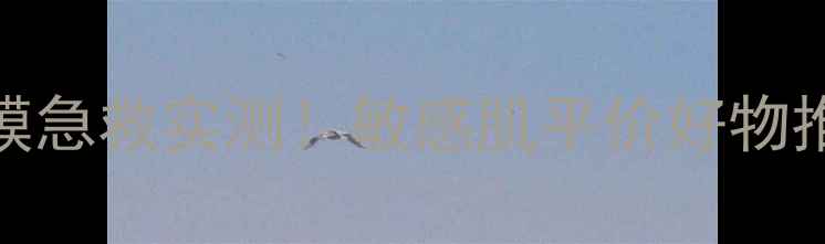 图片 芦荟胶免洗面膜急救实测！敏感肌平价好物推荐（附成分）