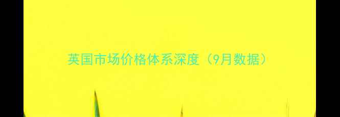 图片 英国市场价格体系深度（9月数据）