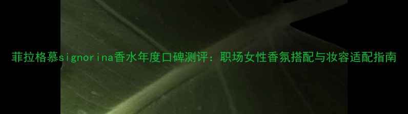 图片 菲拉格慕signorina香水年度口碑测评：职场女性香氛搭配与妆容适配指南
