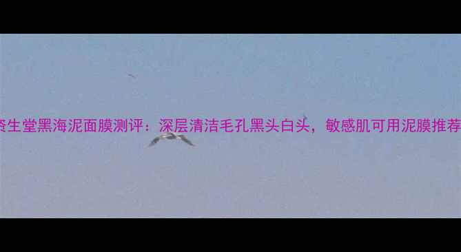 图片 资生堂黑海泥面膜测评：深层清洁毛孔黑头白头，敏感肌可用泥膜推荐1