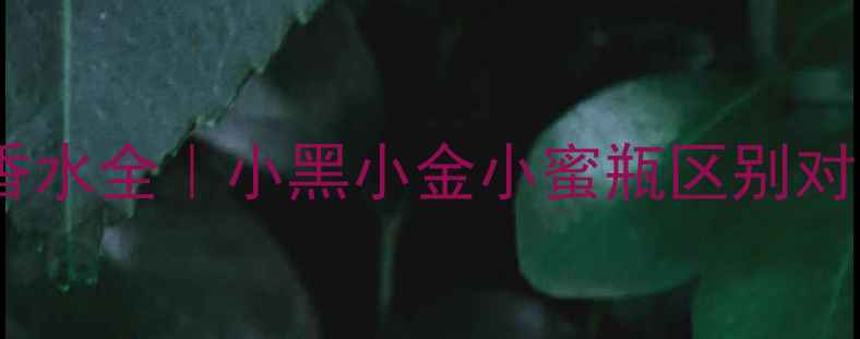 图片 阿玛尼挚爱香水全｜小黑小金小蜜瓶区别对比+选购指南