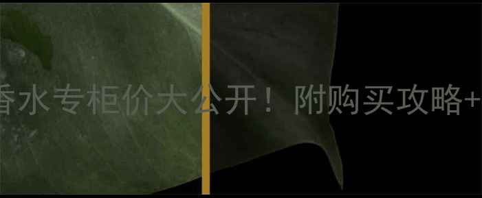 图片 香奈儿Coco香水专柜价大公开！附购买攻略+平替推荐💄2