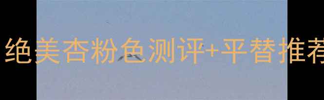 图片 香奈儿腮红76号价格大公开！绝美杏粉色测评+平替推荐，附上上妆技巧和避坑指南2