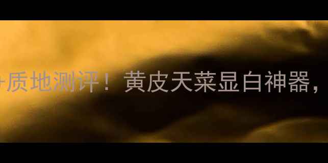 图片 香港YSL黑鸦片价格+质地测评！黄皮天菜显白神器，持妆12小时实测！2