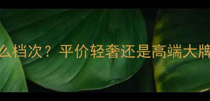 图片 💎Polo香水是什么档次？平价轻奢还是高端大牌？附最新测评！